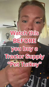 Heritage Turkeys from Tractor Supply Grown Up