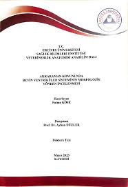 T.C. ERCİYES ÜNİVERSİTESİ REKTÖRLÜĞÜ Veteriner Fakültesi Dekanlığı Temel  Bilimler Bölüm Başkanlığı Sayı :