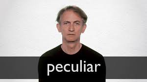 Peculiar Definition And Meaning Collins English Dictionary