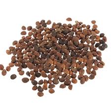 How long does spinach take to grow? Spinach Seed Primitive Plus Official Ark Survival Evolved Wiki