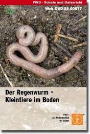 Pin Auf Projekte