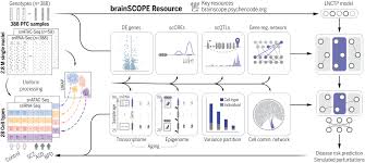 Single-cell genomics and regulatory networks for 388 human brains | Science
