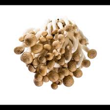 16 delicious matsutake mushroom health benefits matsutake mushroom is a large brownish mushroom that is usually served in japanese food, which is edible and safe to consume. Die Ungewohnlichen Mu Err Pilze Sind Vor Allem In Der Ostasiatischen Kuche Beliebt