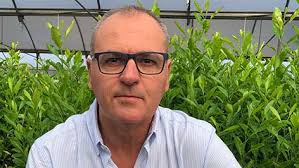 Carlos Carrascosa (Viveros Sevilla): “El patrón Forner Alcaide nº5 se  posiciona fuerte en cítricos"