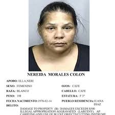 🔴 ARRESTAN A DOÑA #NEREIDA, QUE ERA LA MAS BUSCADA DE JUANA DÍAZ 😬❗ 18  JUL 2025 Por Policía de Puerto Rico- Agentes del Negociado de la Policía de  Puerto Rico, adscritos
