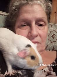 This is Mia (left)(1) and Willow (right)(4-1/2). Both of my girls are  recuses. Willow is our funny rescue story, my husband was getting a tattoo  and the tattoo artist asked him if