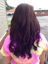 Pravana Color Chocolate Brown And Vivid Purple Ombre Pretty Purple Ombre Hair Brown Ombre Hair Color Ombre Hair