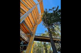 Named best new things to see & do in canada 2021 tag #malahatskywalk to be featured. New Wooden Skywalk Attraction Is Opening In Malahat Bc Pique Newsmagazine