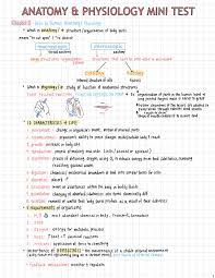 Pin On Study Guide