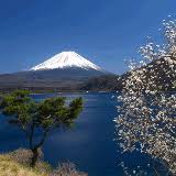 Japan Country Information Roamright Travel Insurance