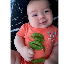 The iHarvest® Complete Package