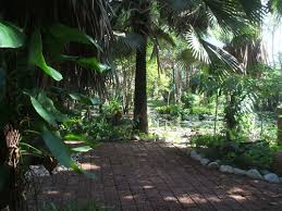Tips For Gardening And Growing Plants In Thailand Thai Garden Design