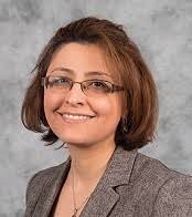 About the Guest Editors