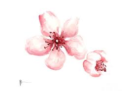 Sakura Watercolor Artwork Cherry Blossom Joanna Szmerdt Jpg 900 674 Japanese Flower Tattoo Cherry Blossom Watercolor Cherry Blossom Tattoo