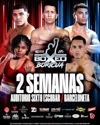 Miguel Cotto Promotions