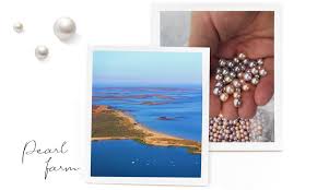 If you notice that they look particularly dirty, try using a damp cloth and leaving them out to dry before storing them back in their proper place. Pearl Guide Tenerife Perla