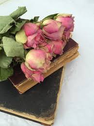How to dry flowers for perfectly preserved blooms. 159 Old Books Dry Flowers Photos Free Royalty Free Stock Photos From Dreamstime