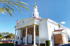 Image result for Vepris macedoi