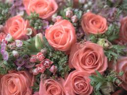 If you're starting to feel the redundancy of the age old romantic delivery, try out a unique valentines flowers arrangement instead. Blurred Beautiful Bouquet Of Coral Roses Valentines Day Wedding Stock Photo Picture And Royalty Free Image Image 140179609