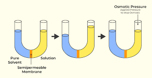 A Colligative Property Is A Property Of A Solution That Is Dependent On T..