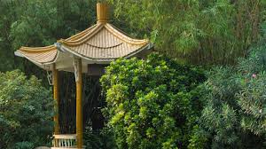 Discover the best indianapolis experience and book your trip! The Most Beautiful Gardens In Guangzhou Jumeirah