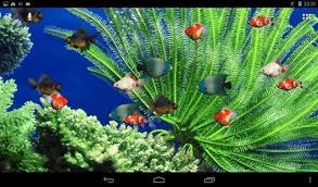  Wallpaper Keren Bergerak Untuk Hp Samsung 2016 Kumpulan Tips Dan Aquarium Live Wallpaper Live Wallpapers Android Wallpaper