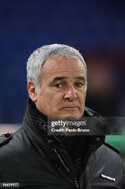 922 Bruno Palermo Stock Photos, High-Res Pictures, and Images