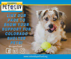 Maybe you would like to learn more about one of these? Colorado Pet Overpopulation Fund Copetfund Twitter