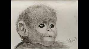 Daily Drawing 08 How To Draw A Cute Baby Monkey Timelapse Version Youtube