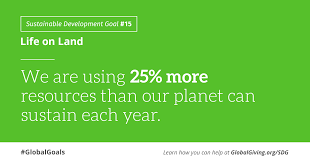 Goal 15 Tips For Life On Land Nexus Energy Center