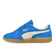 Image result for State Blue 2001 Puma