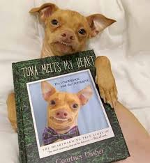 Tuna Melts My Heart The Underdog With The Overbite Tuna S Book Tuna Dog Pets Dogs