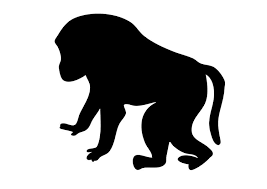 Download baboon coloring pages pictures to print. Coloring Page Baboon Free Printable Coloring Pages Img 10189