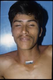 Murder in Bahia de Los Angeles I received a message several days ago about  the murder of an American expat in Bahia de Los Angeles. I searched online  but was unable to