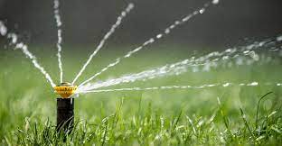 If you would rather just enjoy your time in florida you can always leave this up to the pros at lawn care watering needs change from season to season. How Often Should You Water The Lawn A Guide To Turfgrass Irrigation In Southern California A G Sod Farms