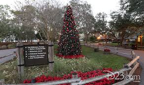 Cost of camping at fort wilderness fluctuates quite a bit depending on the time of year. 7 Enchanting Reasons To Visit Disney S Fort Wilderness Resort D23