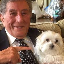 Helping save rescue dogs one awesome product at a time Tony Bennett And His Dog Happy Maltese Dogs Maltese Puppy Dogs