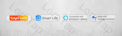 · set up your smart plug in the app. Tuya Smart Life Wifi Smart Ligh Switch Relay Module Remote Control Google Home Alexa Echo Works With Wall Manual Switch 10a