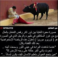 شفقة الثور على قاتله Spruche Leben Bilder