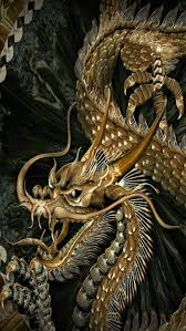 We did not find results for: Awesome Dragon Wallpapers Group 82