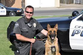 How To Become A K 9 Police Officer K9 Officer K9 Police Officer K9 Officer Salary How To Become A K9 Police Officer K9 Police Dogs Police K9 K9 Officer