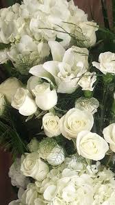 $ sending beautiful flower arrangements for any occasion. White Spray Roses White Rose White Flowers Rose Flower Bulk Flowers White Spray Roses Types Of White Flowers Spray Roses