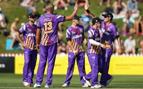 Image result for Purple Knights. Tips.