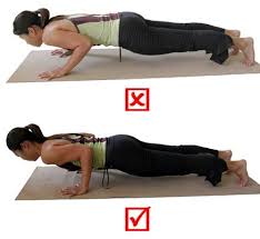Information And Advice On Chaturanga Dandasana Four Limbed Staff Pose Yoga Anatomy Ayurveda Yoga Yoga Asanas