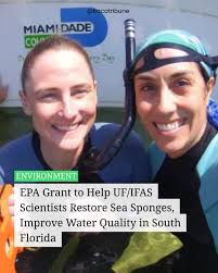 Over 85 Films from 25 Countries Captivate South Florida Audiences; Festival  Honors Top Picks with Audience Awards BOCA RATON, FL