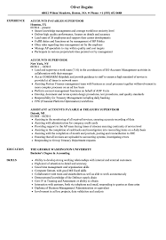 Design employee schedules and coach, counsel, mentor and discipline employees contribute financial data to business plans, strategic plans and reviews as necessary to ensure they meet accounting operational standards Accounts Supervisor Resume Samples Velvet Jobs