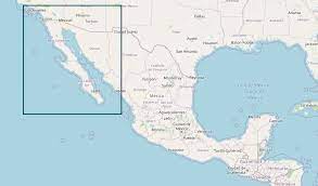 Kontakt zu immobilienmaklern in baja california, mexiko auf century 21 global. Baja California In Mexiko Whale Watching Der Extraklasse