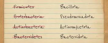 Image result for Phyla