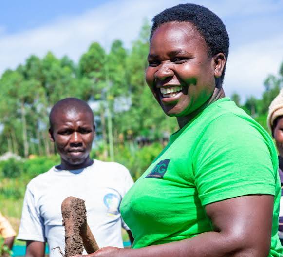 Development in Gardening - DIG