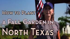 Check spelling or type a new query. North Texas Gardening How To Plant A Fall Garden In Texas Youtube